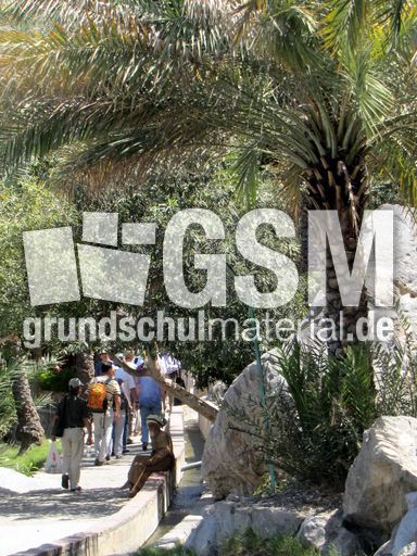 296 Ain al Kasfah,  Falasch=Levada.JPG